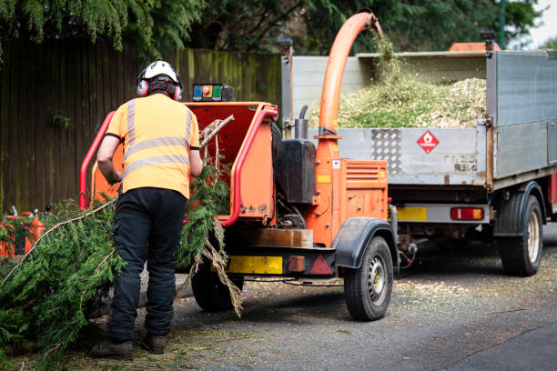 Best Utility Line Clearance  in Rosebud, TX