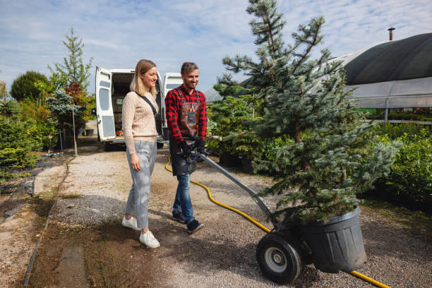 Tree and Shrub Care in Rosebud, TX